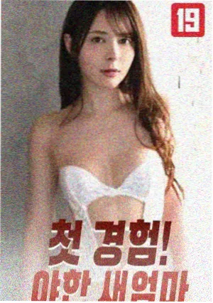 风骚律师